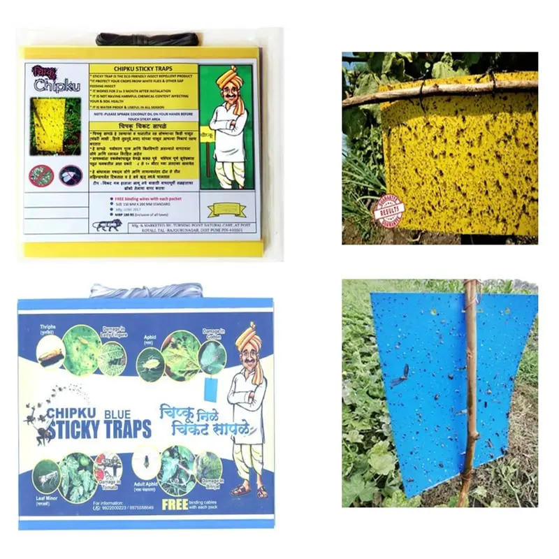 Chipku A5 Size Yellow & Blue Sticky Traps Of 150x 200mm(Pack-10 Pcs)